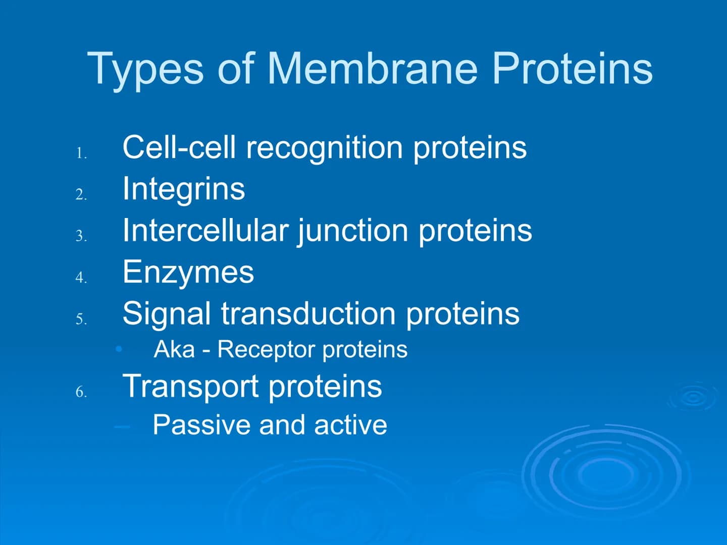 Membrane Structure and
Function Membranes organize the chemical
activities of cells.
Membrane Function
The outer plasma membrane
forms a bou