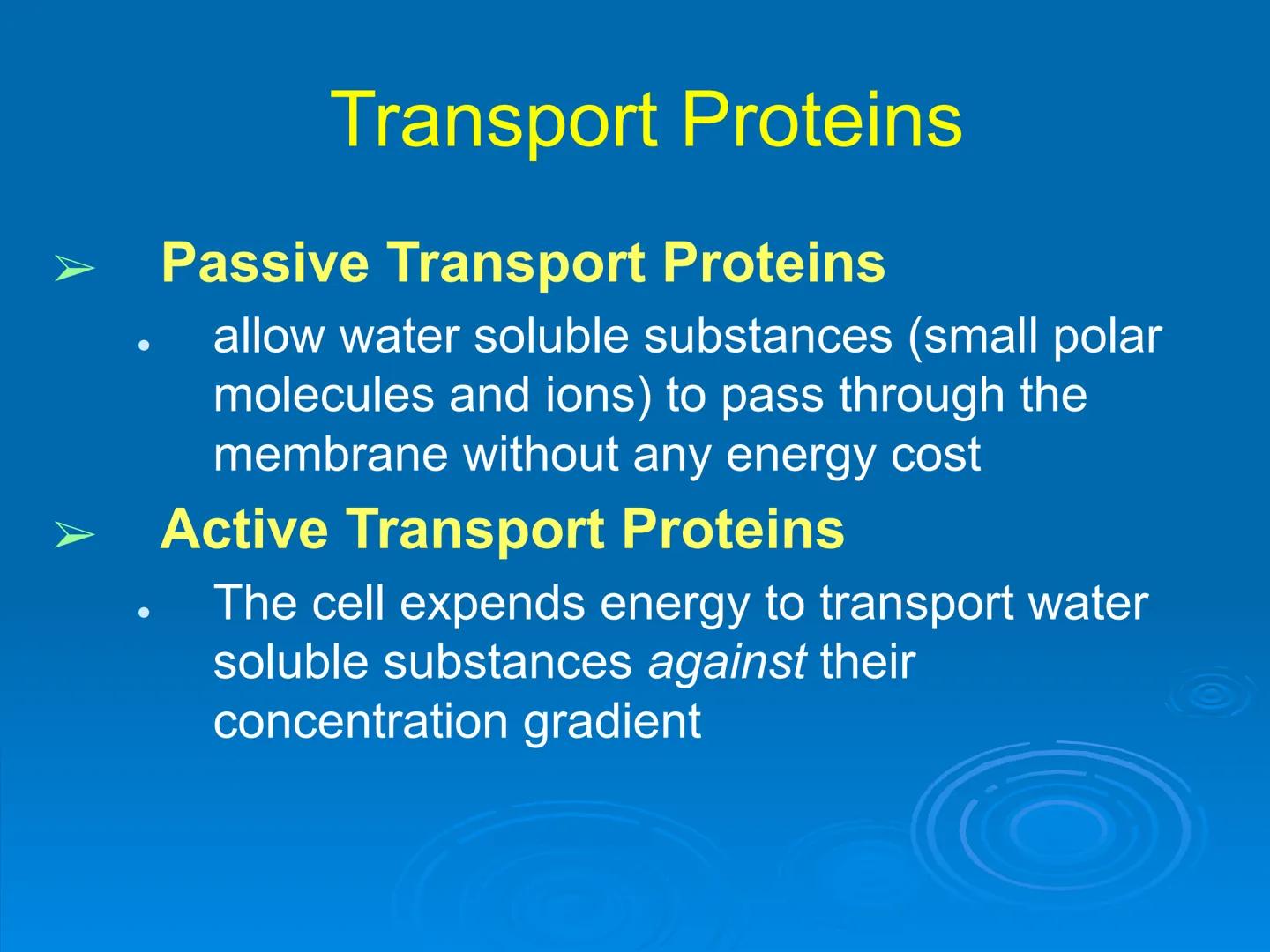 Membrane Structure and
Function Membranes organize the chemical
activities of cells.
Membrane Function
The outer plasma membrane
forms a bou