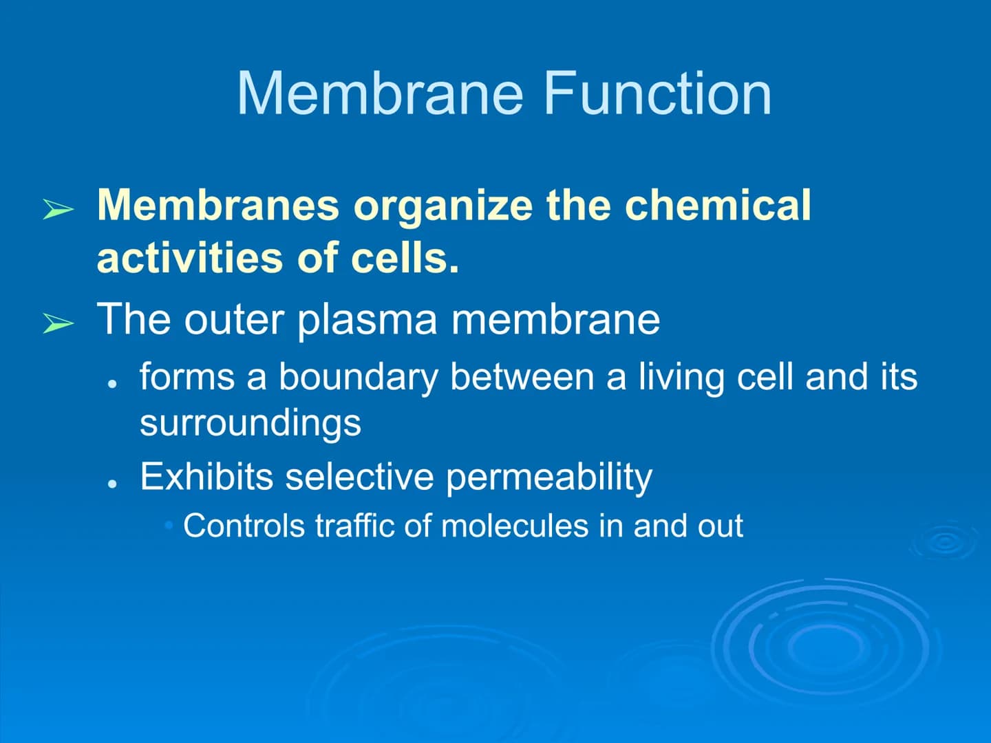 Membrane Structure and
Function Membranes organize the chemical
activities of cells.
Membrane Function
The outer plasma membrane
forms a bou