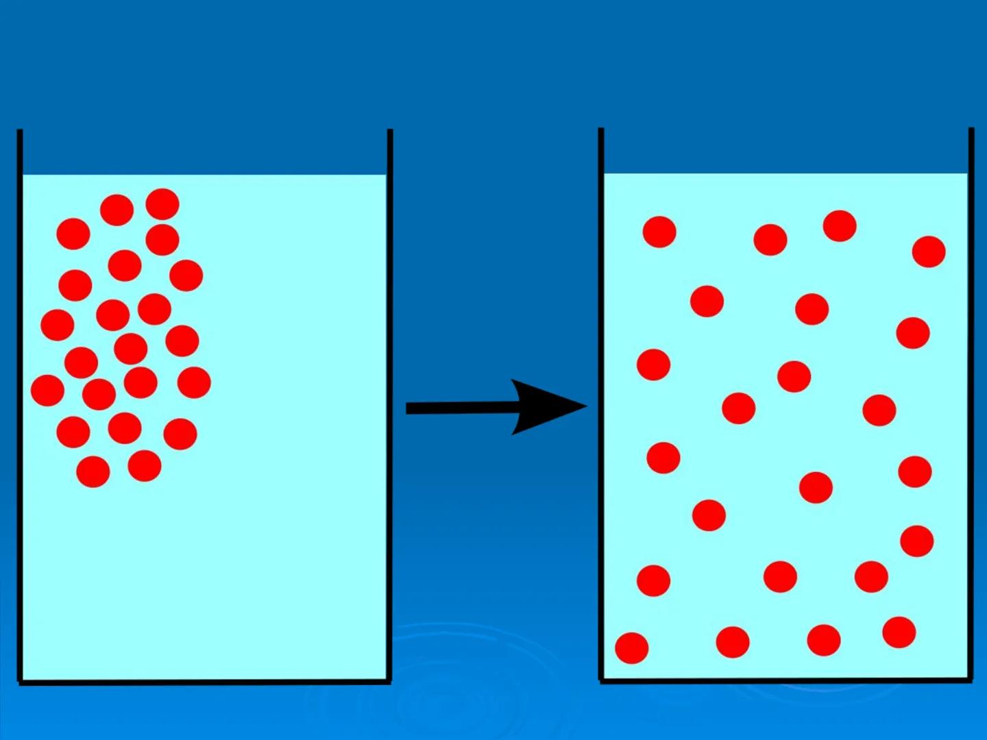 Membrane Structure and
Function Membranes organize the chemical
activities of cells.
Membrane Function
The outer plasma membrane
forms a bou