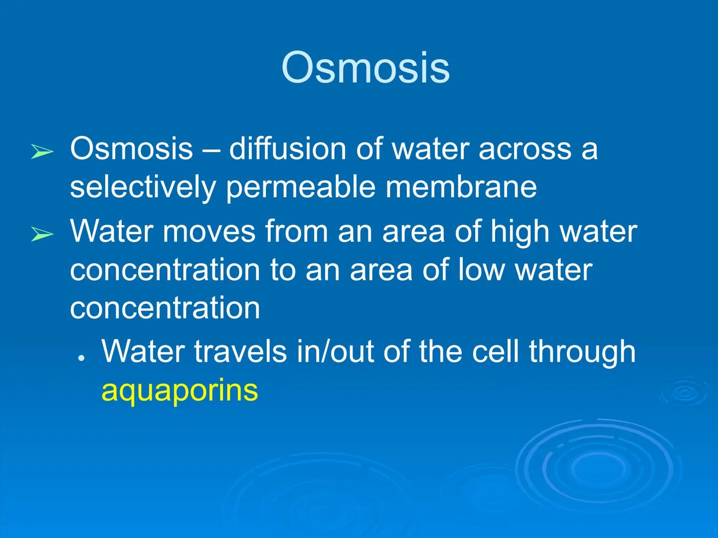 Membrane Structure and
Function Membranes organize the chemical
activities of cells.
Membrane Function
The outer plasma membrane
forms a bou