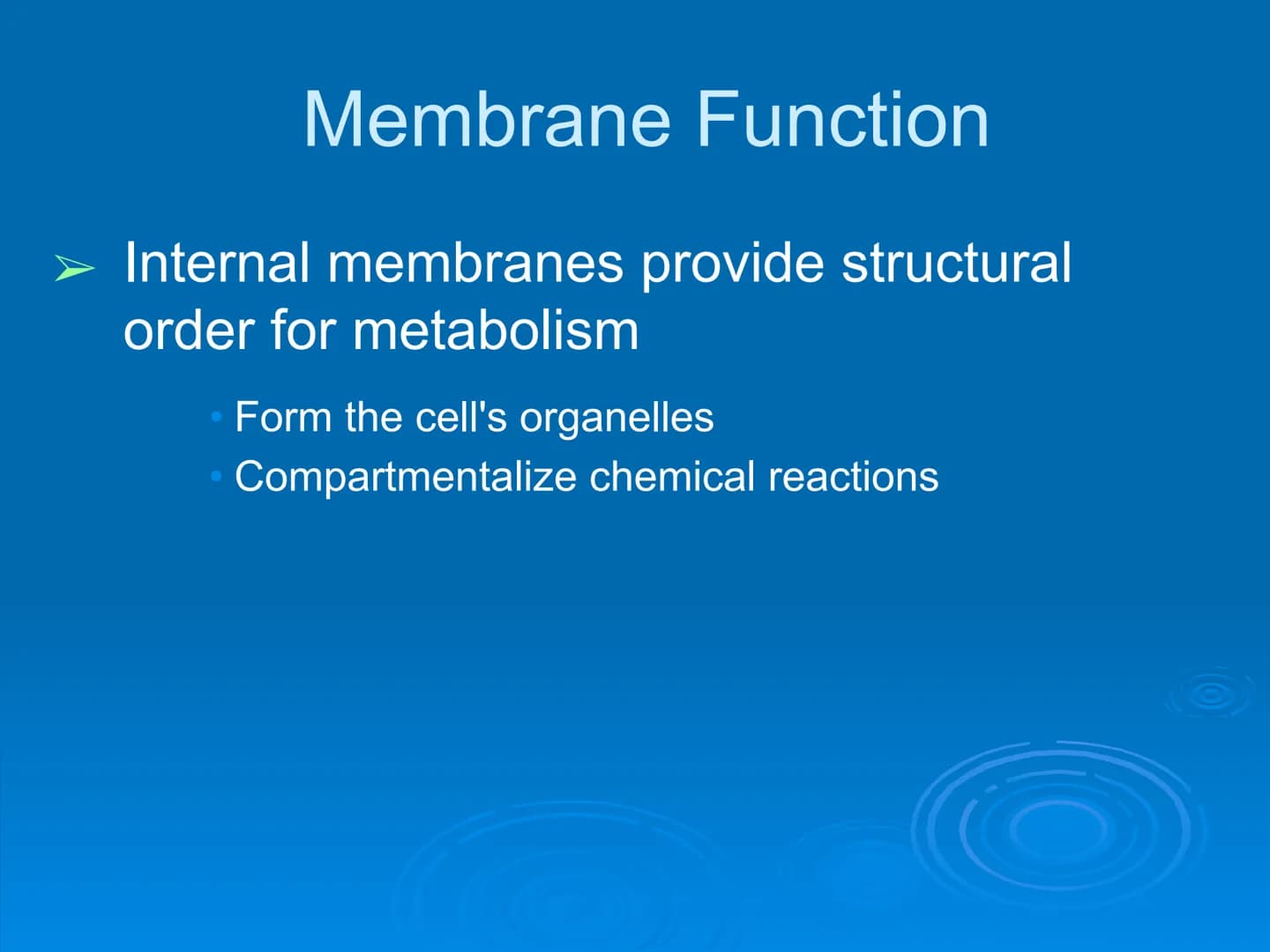 Membrane Structure and
Function Membranes organize the chemical
activities of cells.
Membrane Function
The outer plasma membrane
forms a bou