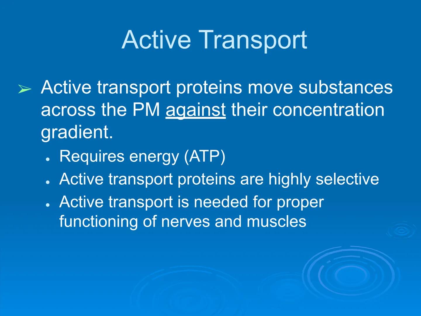 Membrane Structure and
Function Membranes organize the chemical
activities of cells.
Membrane Function
The outer plasma membrane
forms a bou