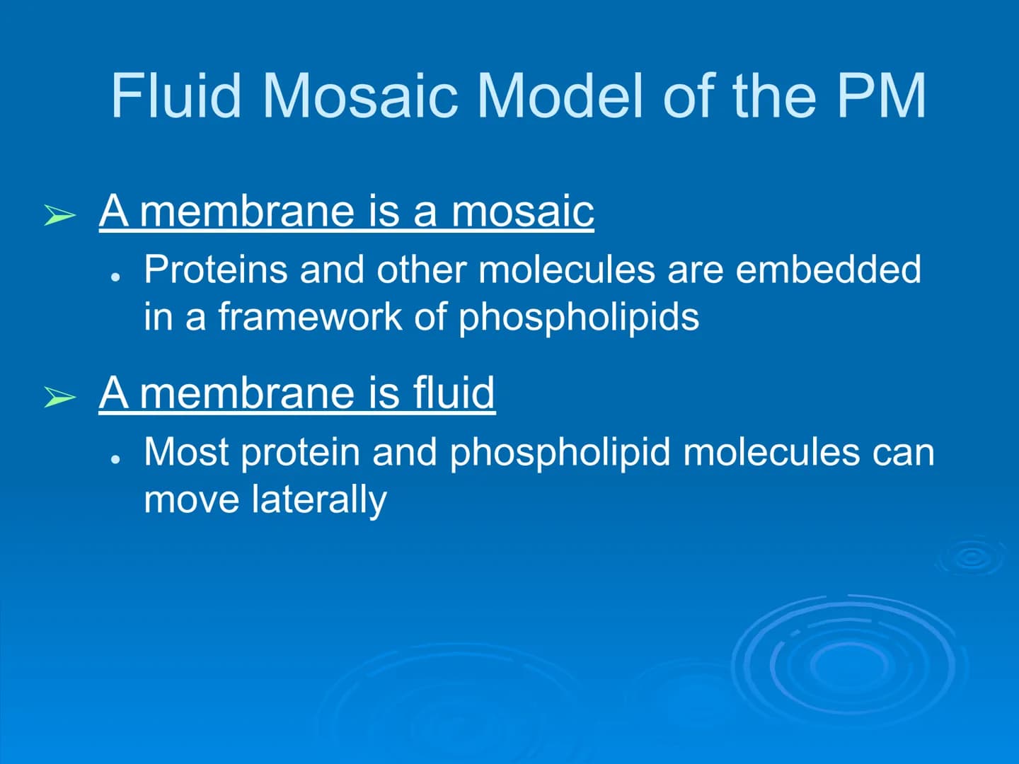 Membrane Structure and
Function Membranes organize the chemical
activities of cells.
Membrane Function
The outer plasma membrane
forms a bou