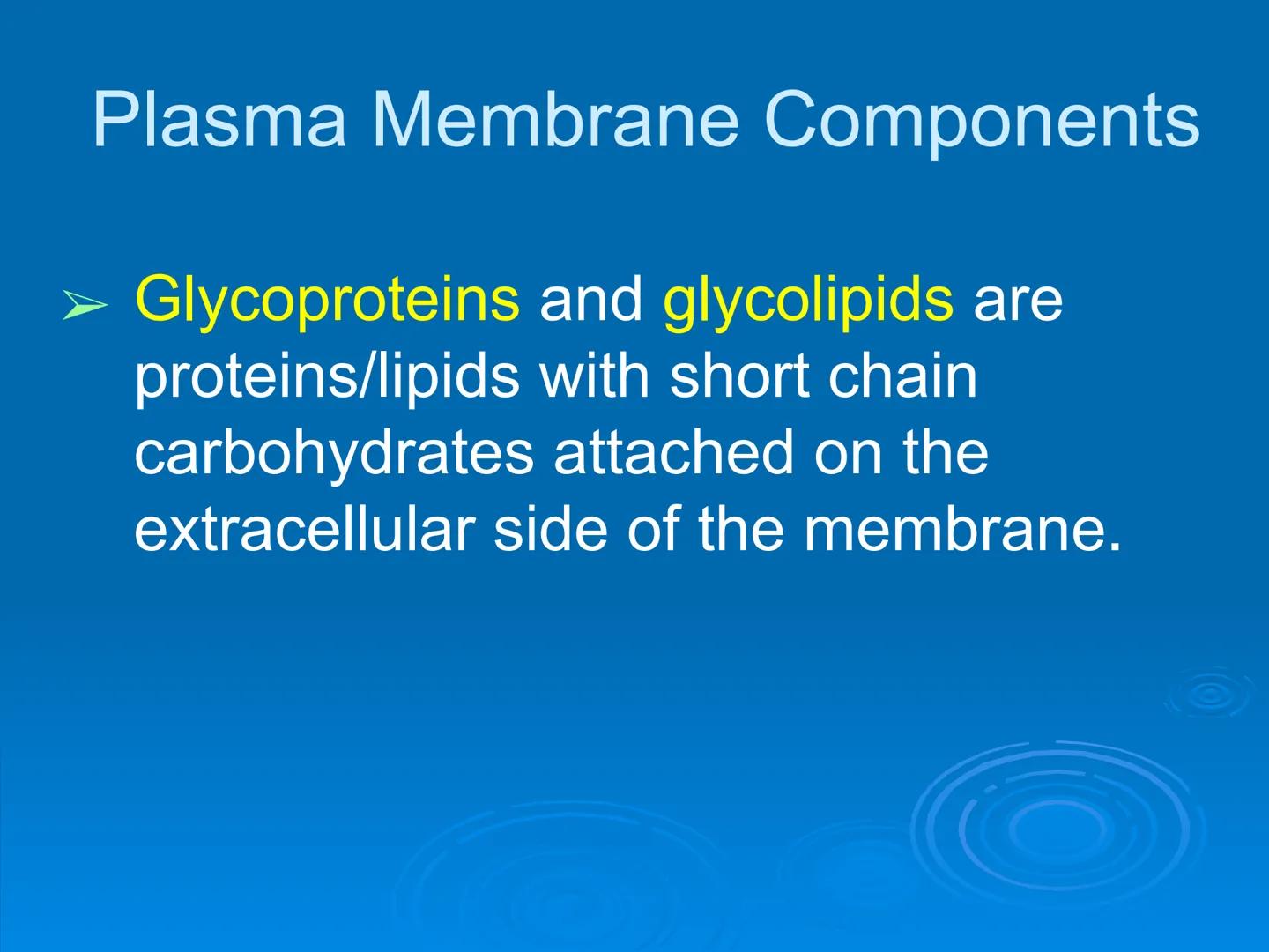 Membrane Structure and
Function Membranes organize the chemical
activities of cells.
Membrane Function
The outer plasma membrane
forms a bou