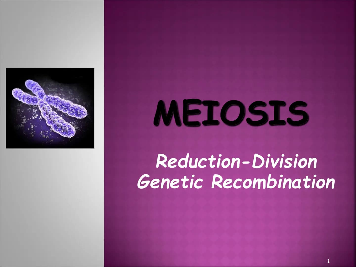 MEIOSIS
Reduction-Division
Genetic Recombination
1 MEIOSIS
The form of cell division by which
GAMETES, with HALF the
number of CHROMOSOMES, 