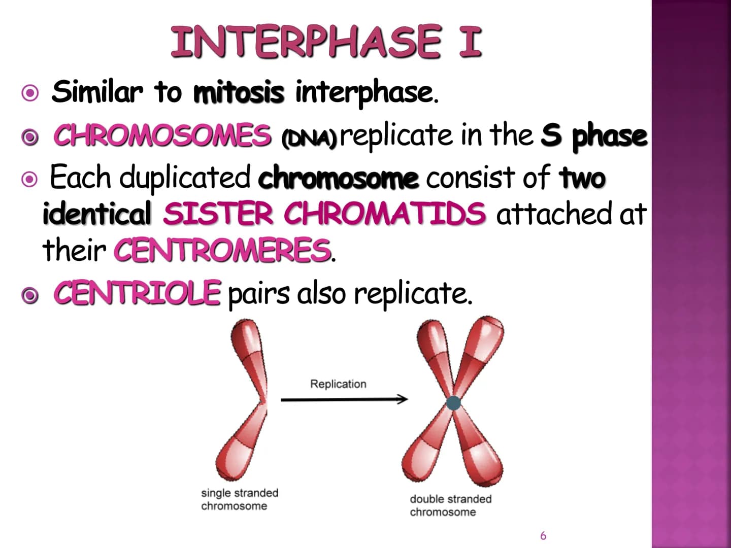 MEIOSIS
Reduction-Division
Genetic Recombination
1 MEIOSIS
The form of cell division by which
GAMETES, with HALF the
number of CHROMOSOMES, 
