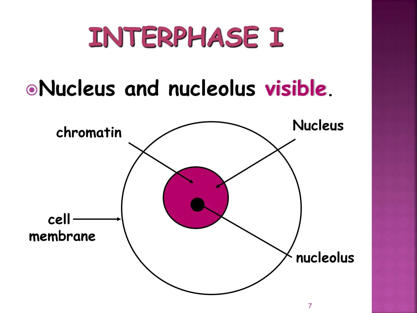 MEIOSIS
Reduction-Division
Genetic Recombination
1 MEIOSIS
The form of cell division by which
GAMETES, with HALF the
number of CHROMOSOMES, 