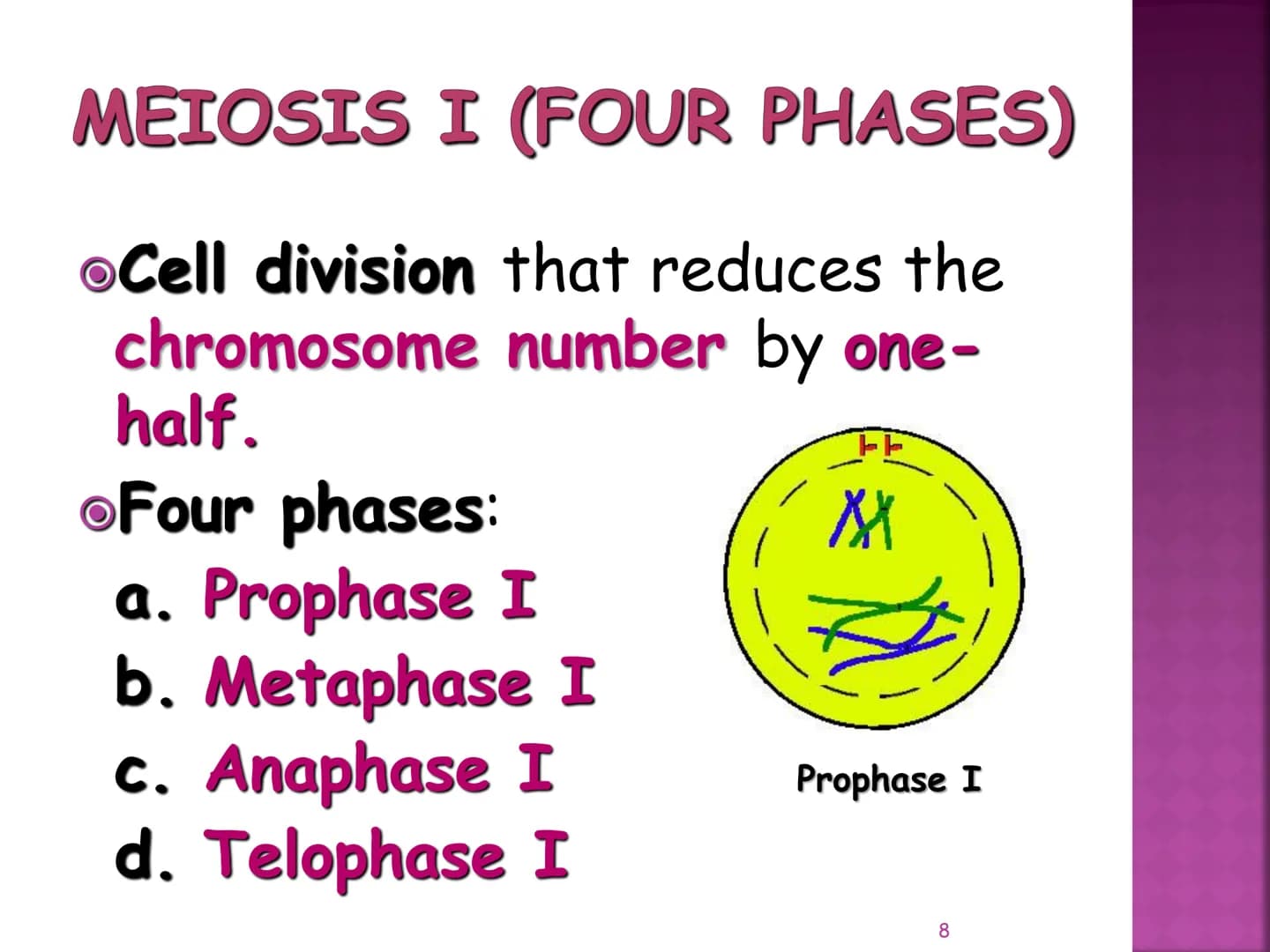 MEIOSIS
Reduction-Division
Genetic Recombination
1 MEIOSIS
The form of cell division by which
GAMETES, with HALF the
number of CHROMOSOMES, 