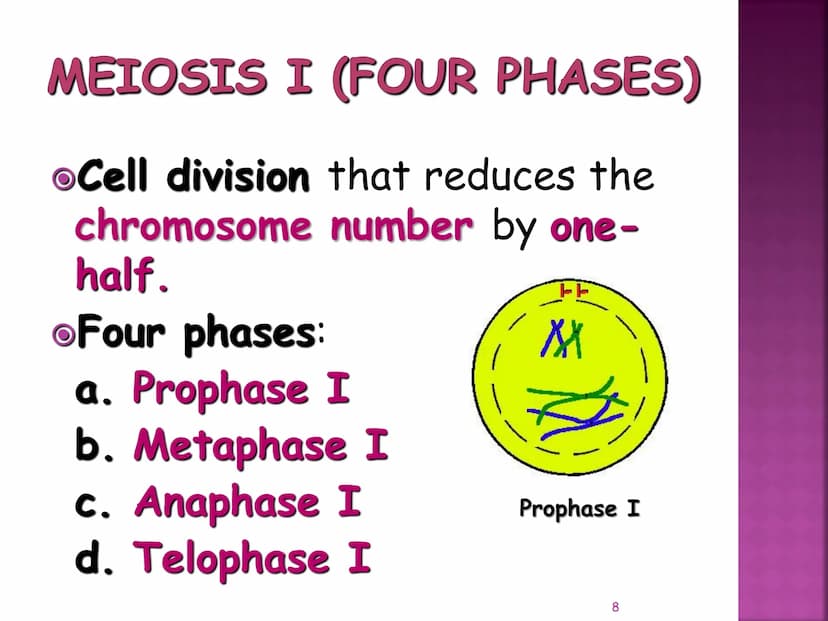 MEIOSIS
Reduction-Division
Genetic Recombination
1 MEIOSIS
The form of cell division by which
GAMETES, with HALF the
number of CHROMOSOMES, 