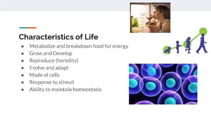 Know Cells and Viruses thumbnail