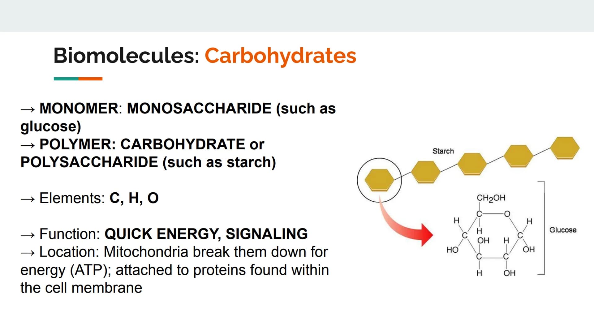 Characteristics of Life
Metabolize and breakdown food for energy
Grow and Develop
• Reproduce (heredity)
Evolve and adapt
Made of cells
Resp