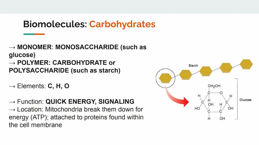 Characteristics of Life
Metabolize and breakdown food for energy
Grow and Develop
• Reproduce (heredity)
Evolve and adapt
Made of cells
Resp
