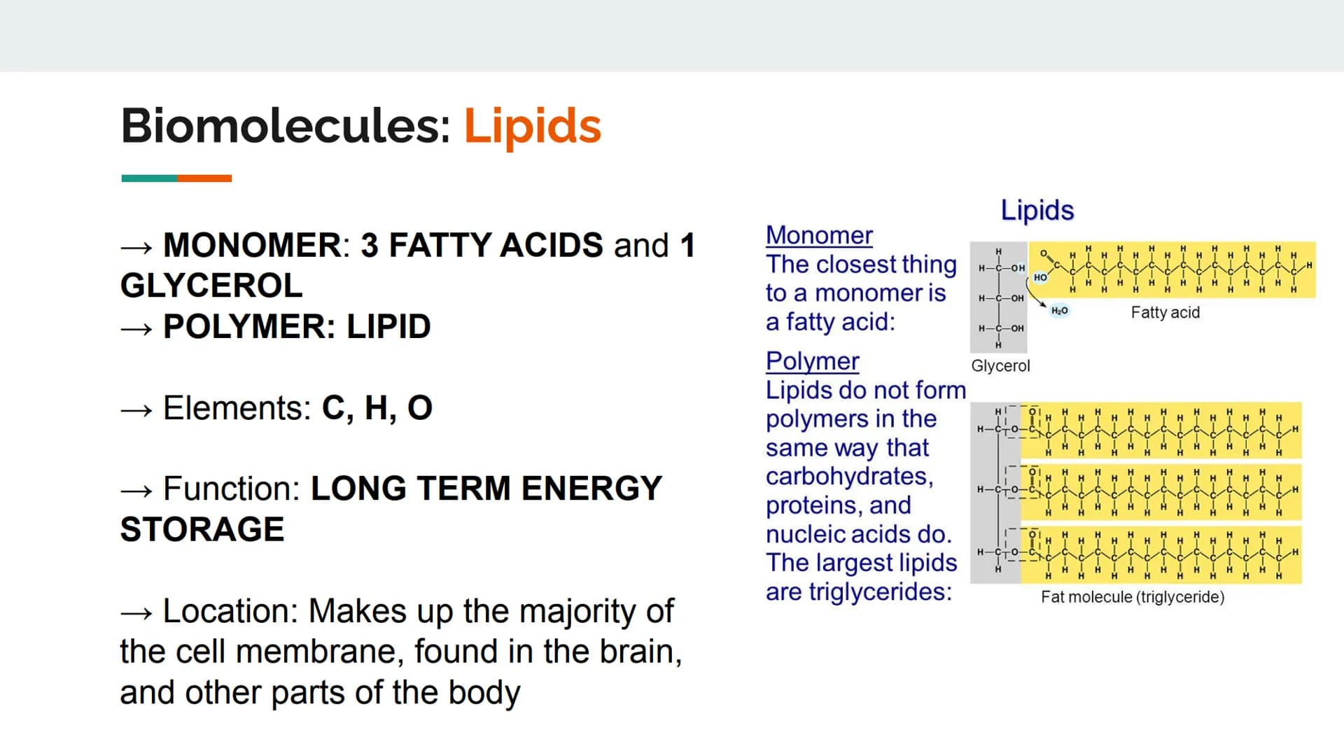 Characteristics of Life
Metabolize and breakdown food for energy
Grow and Develop
• Reproduce (heredity)
Evolve and adapt
Made of cells
Resp
