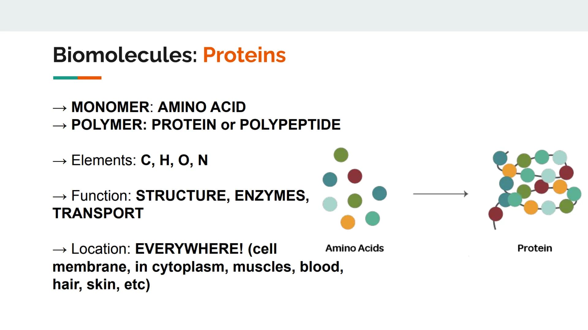 Characteristics of Life
Metabolize and breakdown food for energy
Grow and Develop
• Reproduce (heredity)
Evolve and adapt
Made of cells
Resp