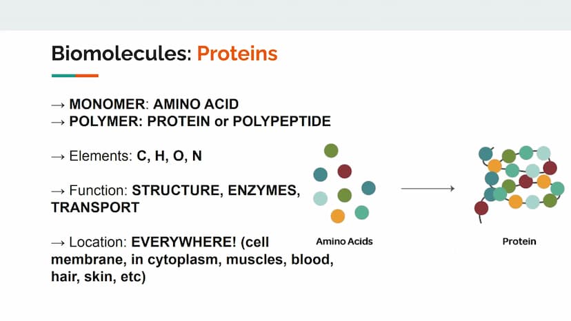 Characteristics of Life
Metabolize and breakdown food for energy
Grow and Develop
• Reproduce (heredity)
Evolve and adapt
Made of cells
Resp