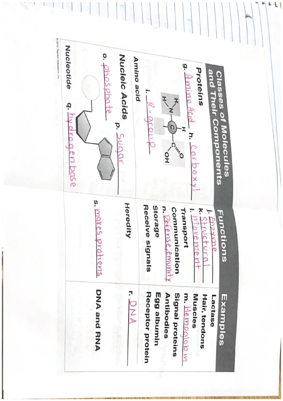 Title
Vocab
Important info

The chemical basis of Life:
Chapter 2

FYI How are chemistry and Biology importent related?

FY) Why is chemistr