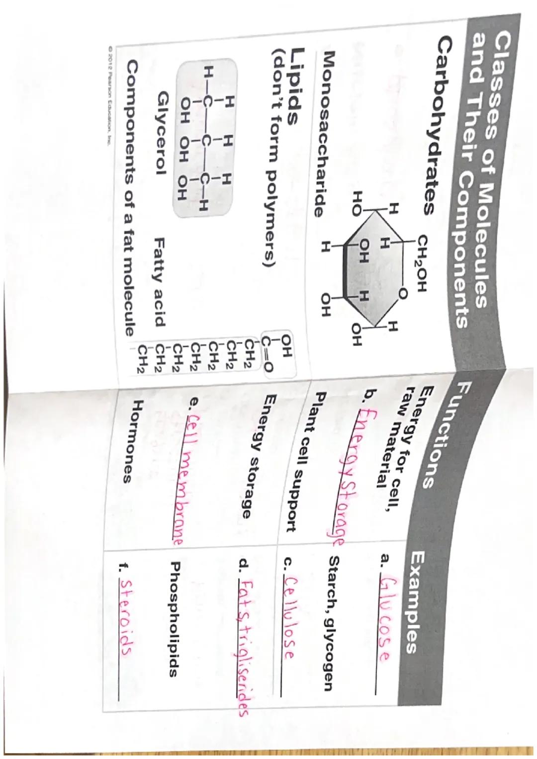 Title
Vocab
Important info

The chemical basis of Life:
Chapter 2

FYI How are chemistry and Biology importent related?

FY) Why is chemistr