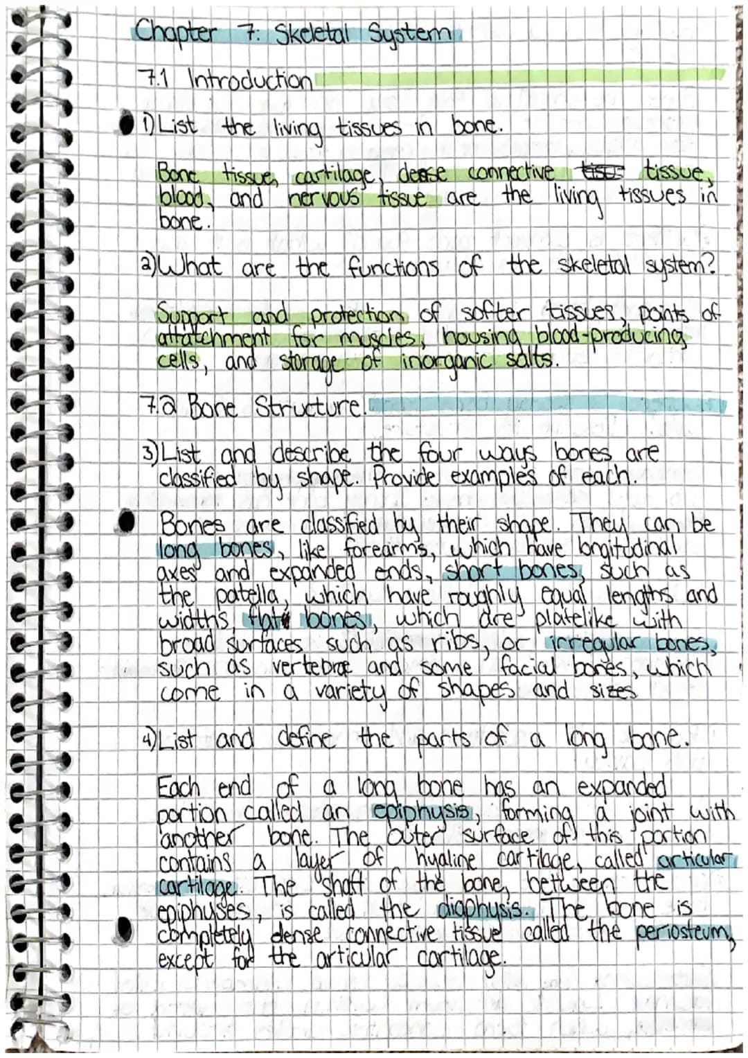 00
Chapter 7: Skeletal System
7.1 Introduction
1) List the living tissues in bone.
Bone tissue cartilage, dease connective tists tissue,
blo