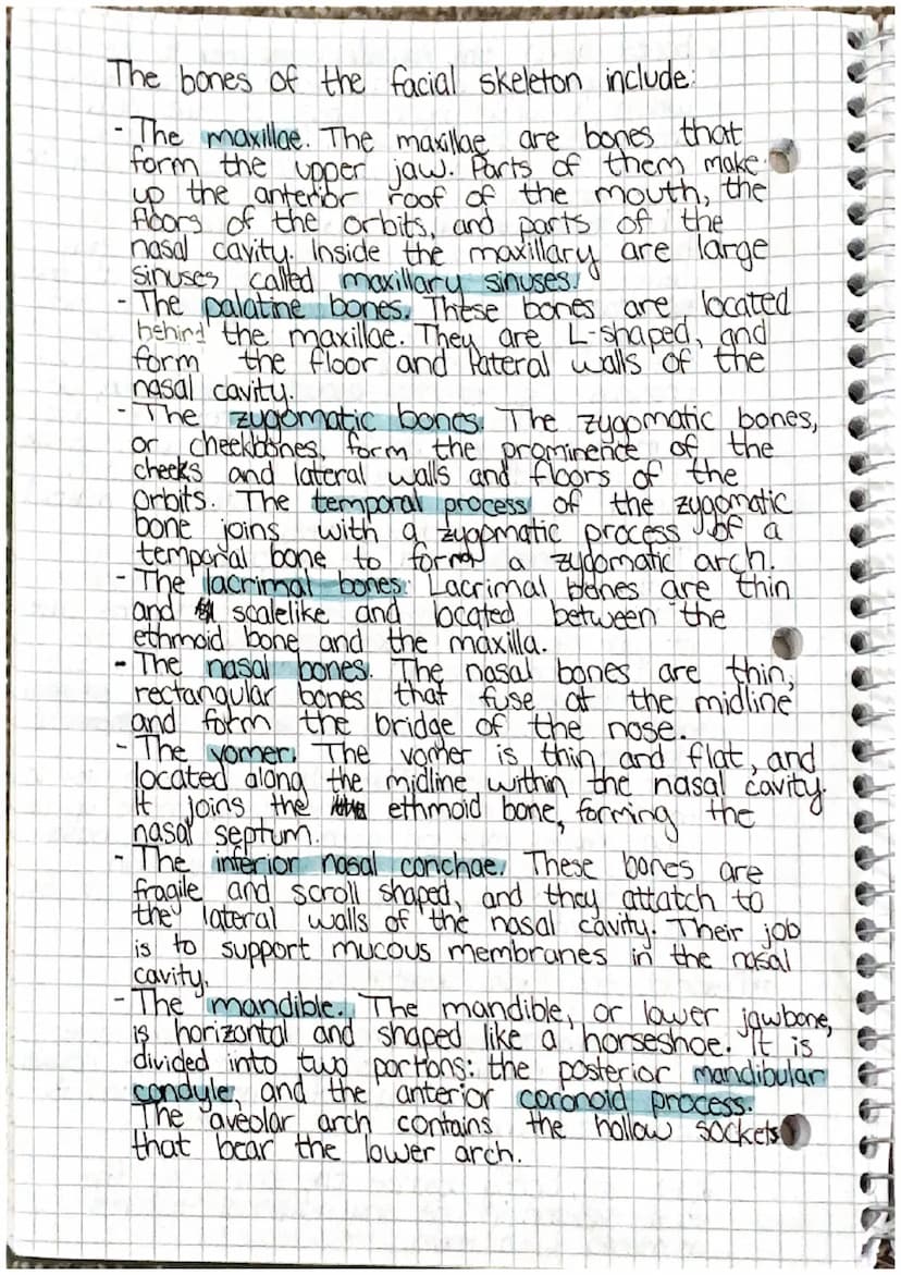 00
Chapter 7: Skeletal System
7.1 Introduction
1) List the living tissues in bone.
Bone tissue cartilage, dease connective tists tissue,
blo
