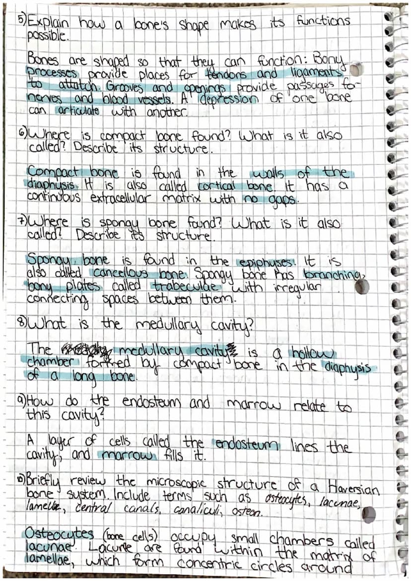 00
Chapter 7: Skeletal System
7.1 Introduction
1) List the living tissues in bone.
Bone tissue cartilage, dease connective tists tissue,
blo