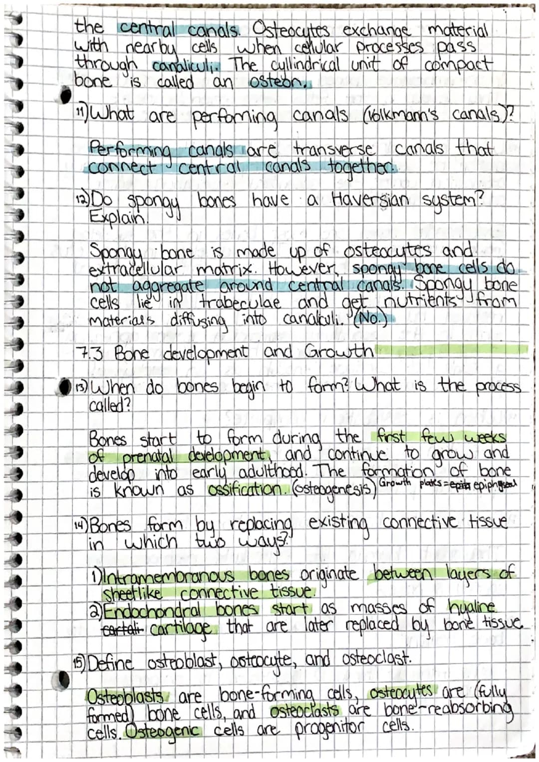 00
Chapter 7: Skeletal System
7.1 Introduction
1) List the living tissues in bone.
Bone tissue cartilage, dease connective tists tissue,
blo