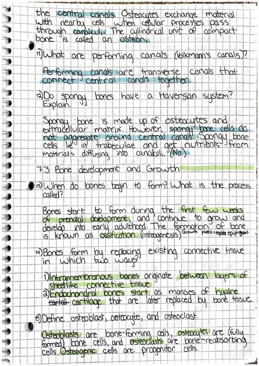 00
Chapter 7: Skeletal System
7.1 Introduction
1) List the living tissues in bone.
Bone tissue cartilage, dease connective tists tissue,
blo