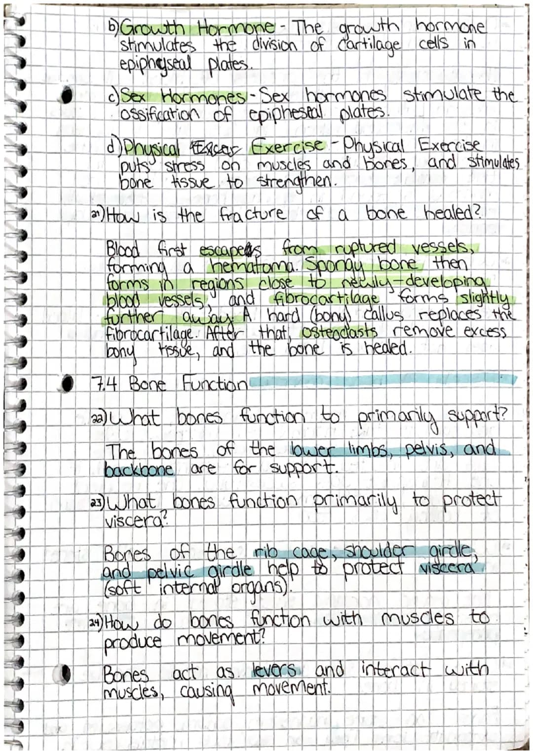 00
Chapter 7: Skeletal System
7.1 Introduction
1) List the living tissues in bone.
Bone tissue cartilage, dease connective tists tissue,
blo