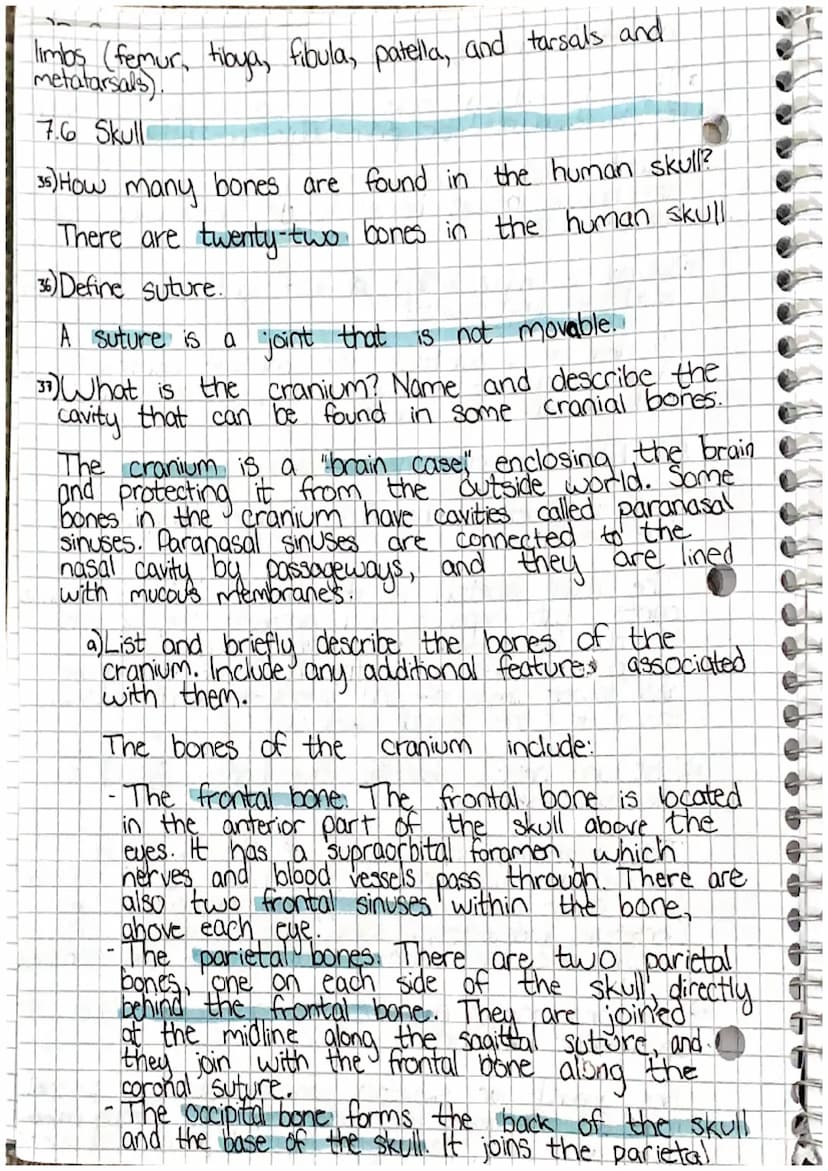 00
Chapter 7: Skeletal System
7.1 Introduction
1) List the living tissues in bone.
Bone tissue cartilage, dease connective tists tissue,
blo