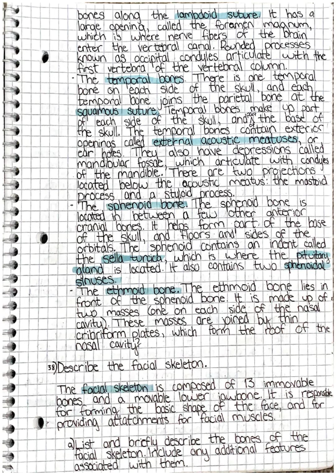 00
Chapter 7: Skeletal System
7.1 Introduction
1) List the living tissues in bone.
Bone tissue cartilage, dease connective tists tissue,
blo