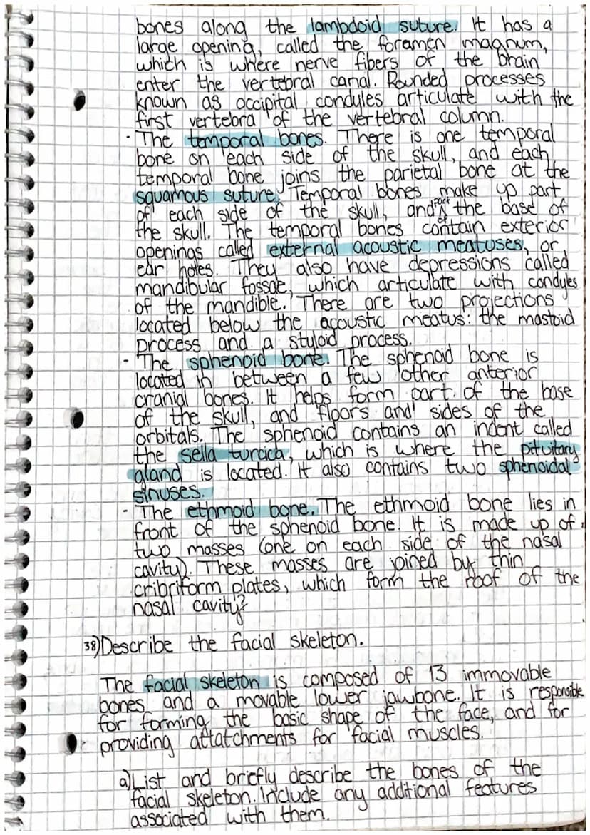 00
Chapter 7: Skeletal System
7.1 Introduction
1) List the living tissues in bone.
Bone tissue cartilage, dease connective tists tissue,
blo