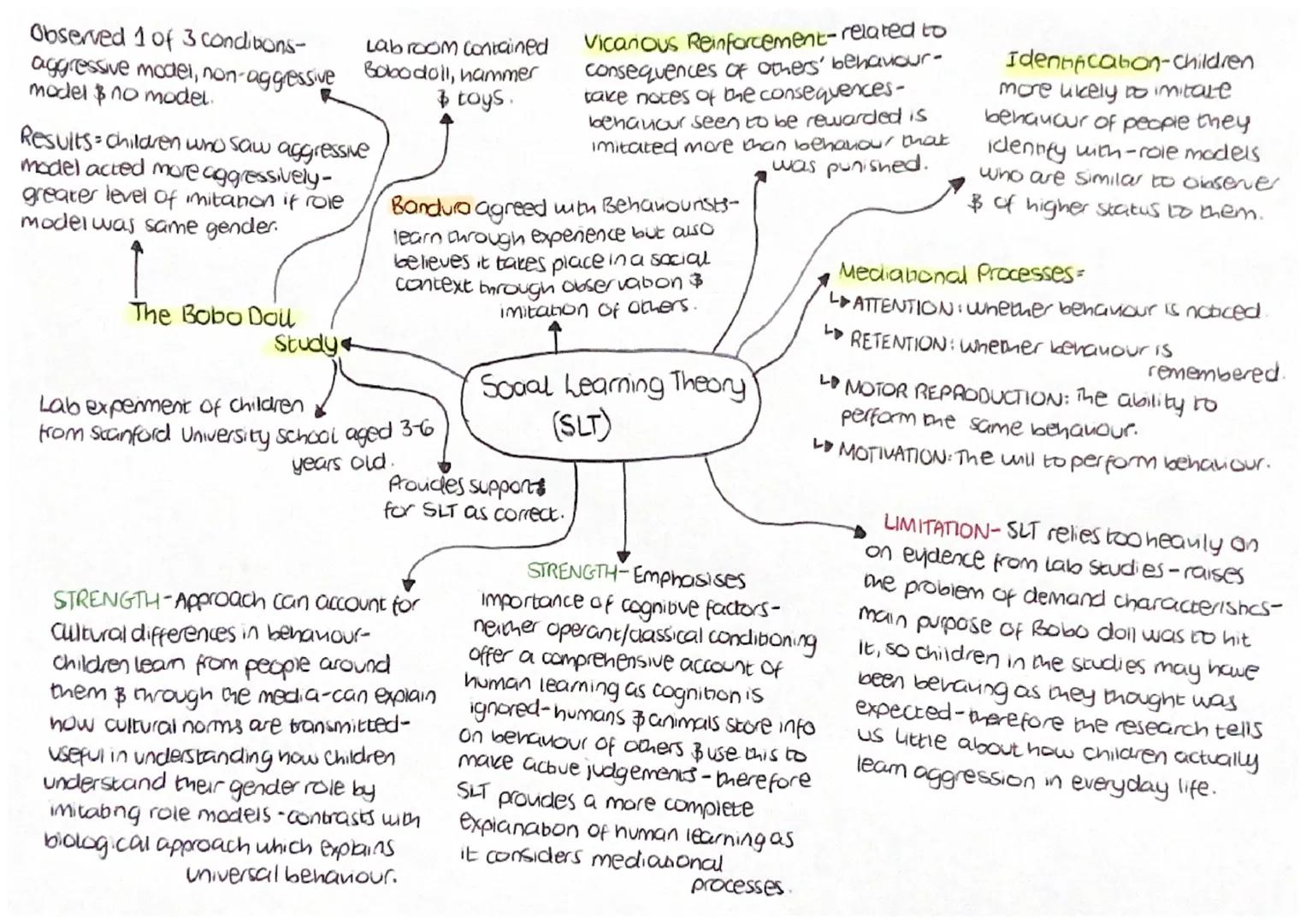 Observed 1 of 3 conditions-
aggressive model, non-aggressive
model & no model.

Results = children who saw aggressive
model acted more aggre