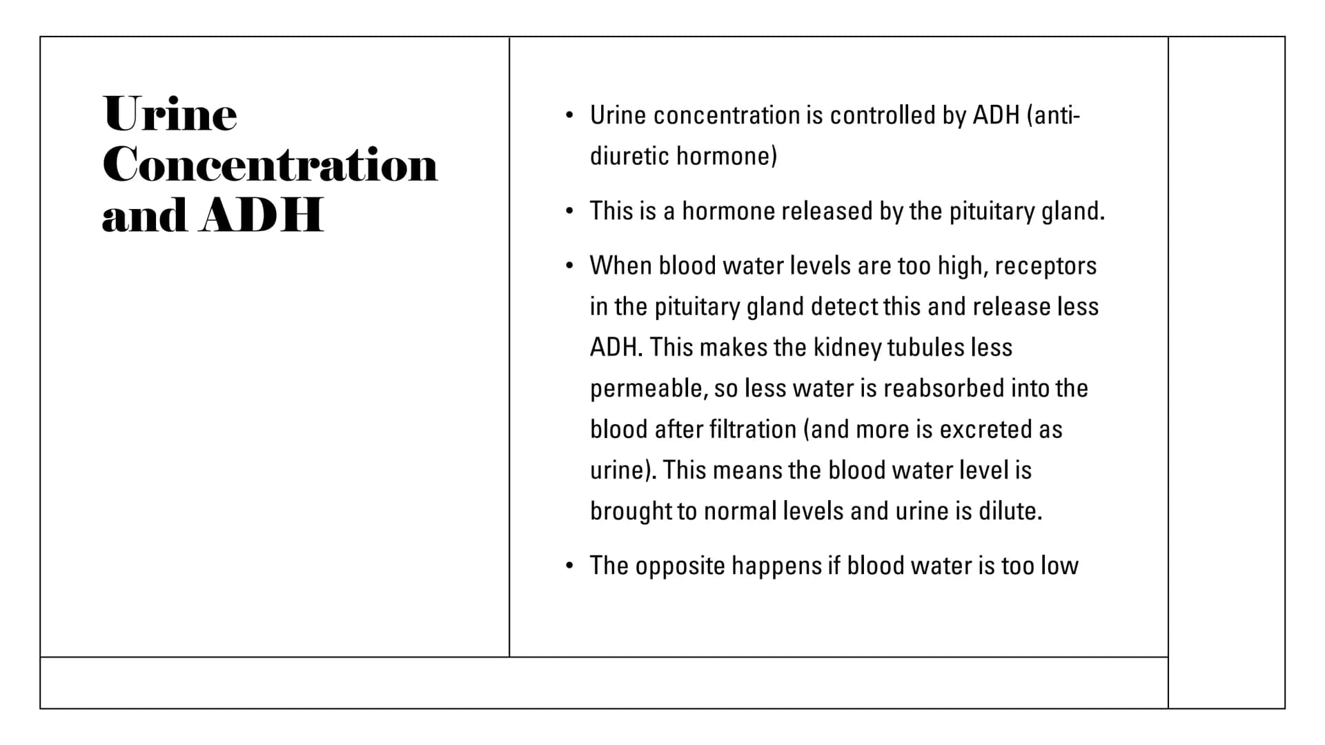The Kidneys Functions
Remove waste/excess
substances from the blood
to be excreted as urine
These substances include
excessions and water, a