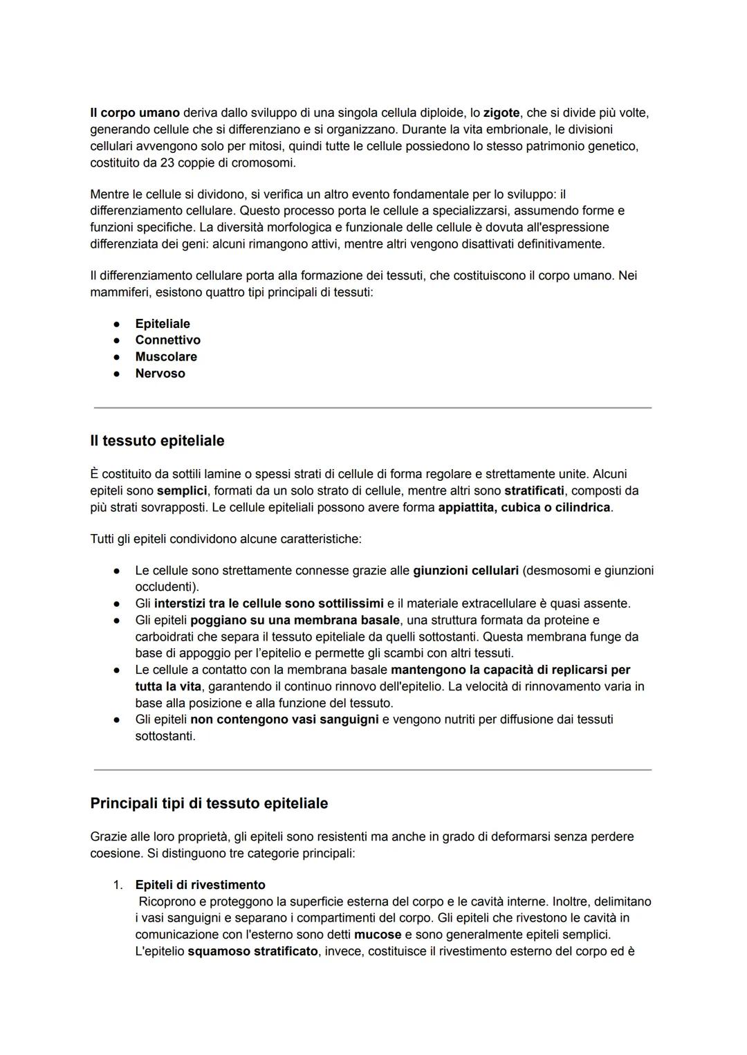 Il corpo umano deriva dallo sviluppo di una singola cellula diploide, lo zigote, che si divide più volte,
generando cellule che si differenz