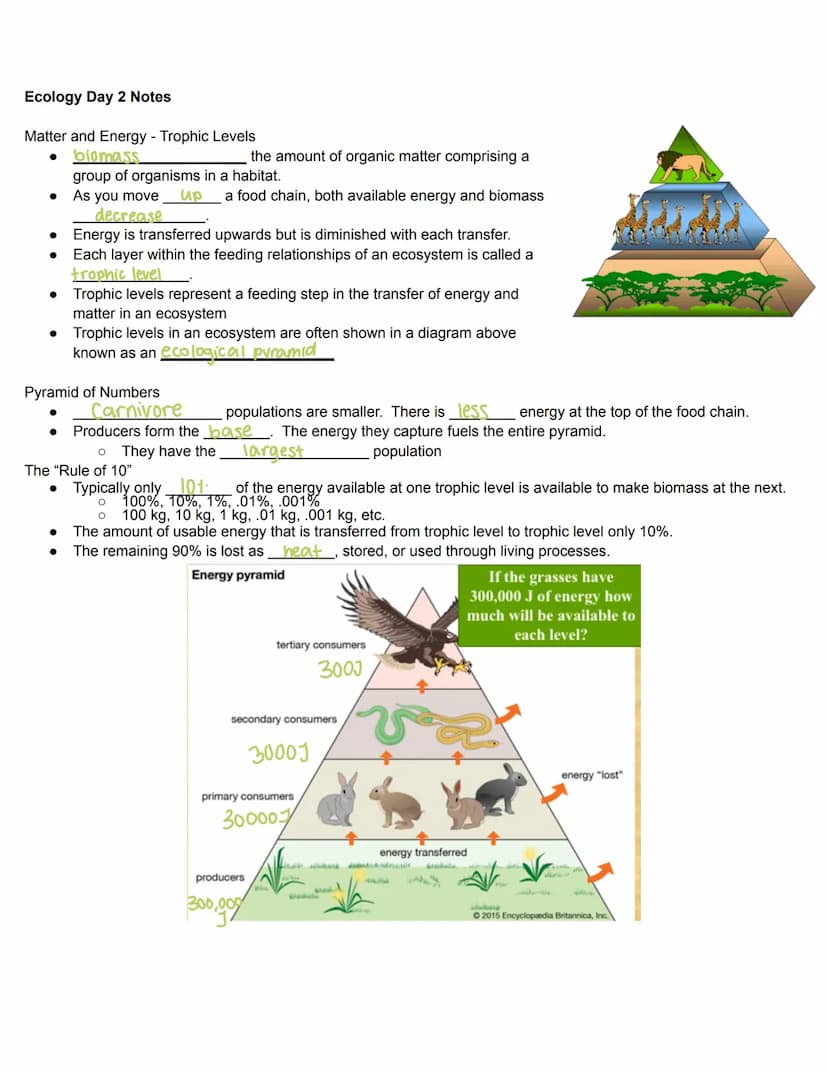 Name: Mai Thy Smith
Ecology Day 1 Notes
●
ecology
What do you mean by environment?
● The environment is made up of two factors:
Biotic facto