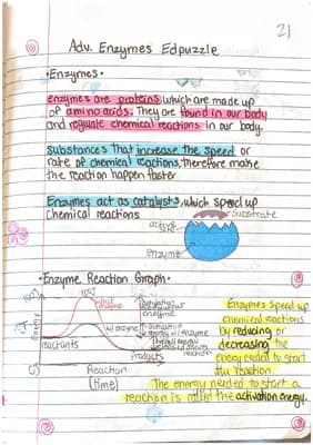 Know Enzymes  thumbnail