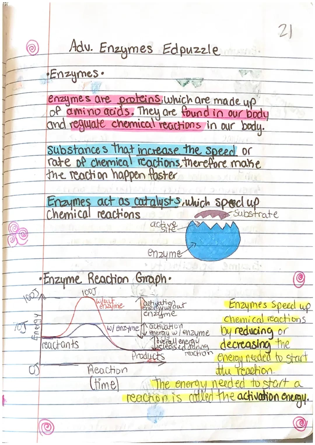 
<p>Enzymes are proteins made up of amino acids and play a crucial role in regulating chemical reactions in the body. They act as catalysts,