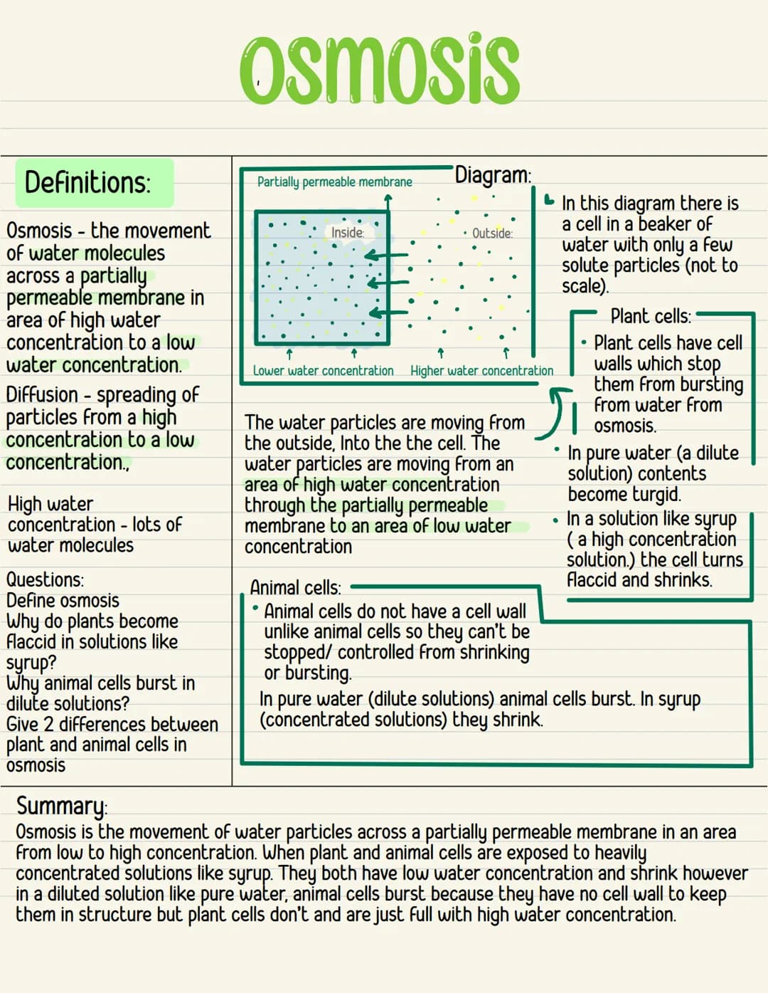 Definitions:
Osmosis - the movement
of water molecules
across a partially
permeable membrane in
area of high water
concentration to a low
wa