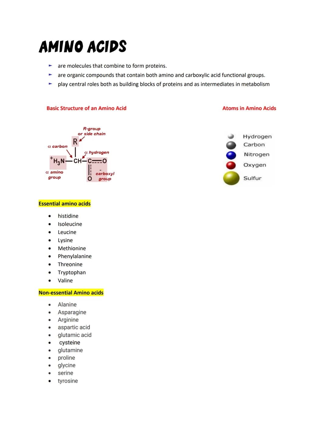 AMINO ACIDS
►
Basic Structure of an Amino Acid
a carbon
are molecules that combine to form proteins.
are organic compounds that contain both