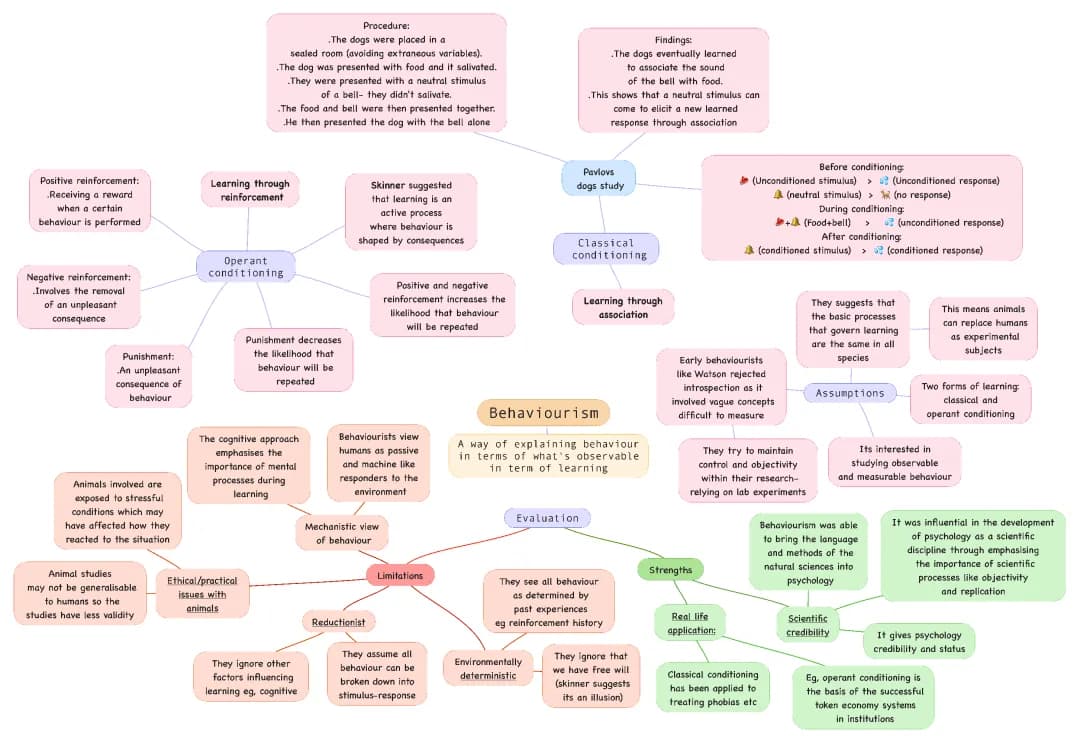 Understanding the Behaviourist Approach and Types of Learning