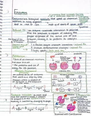 Know Enzymes thumbnail