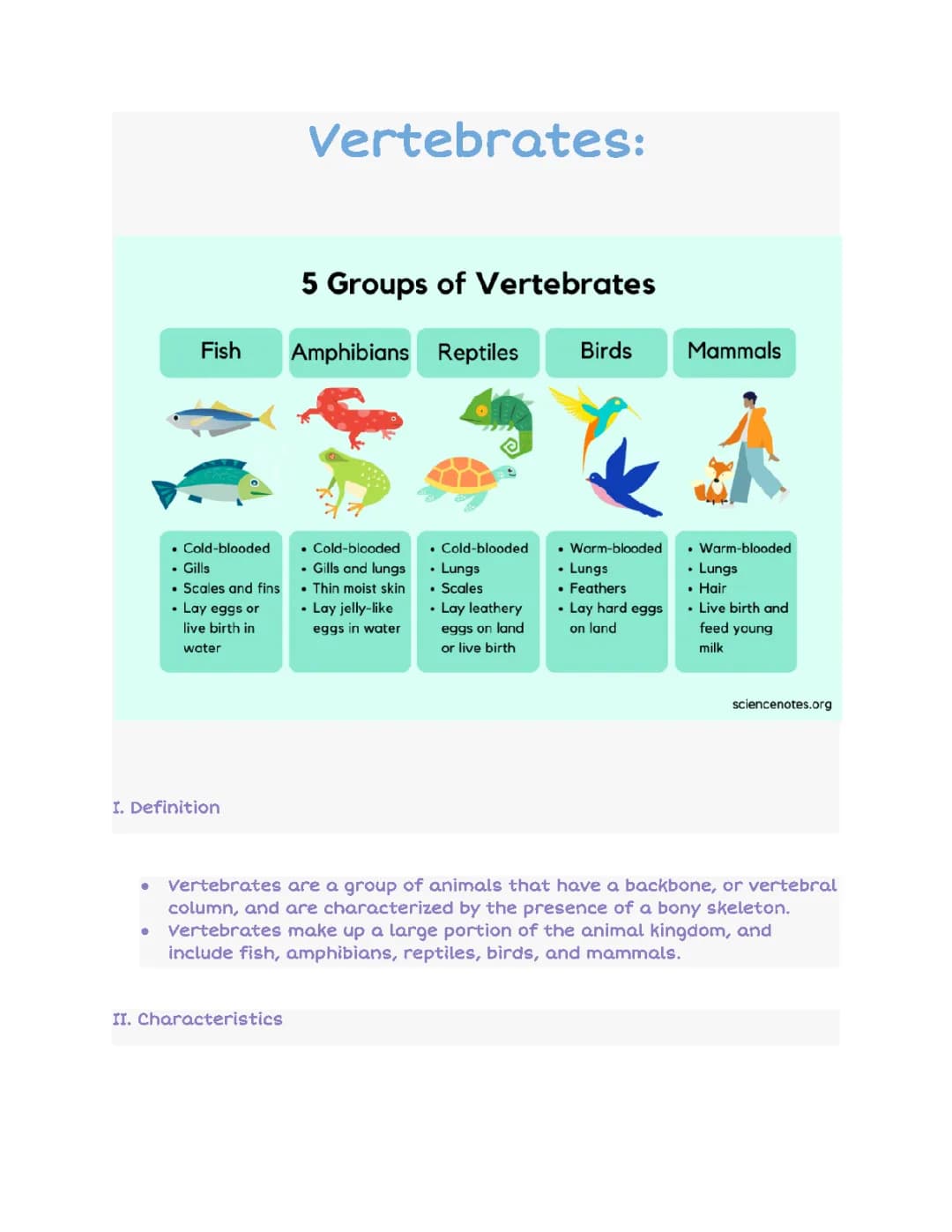 Vertebrates 