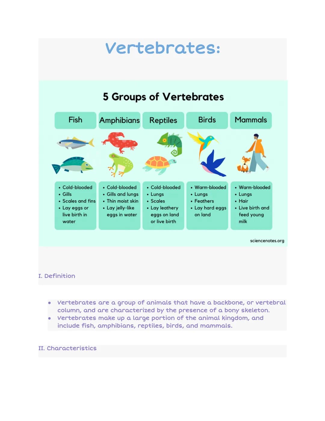 Fish
●
. Cold-blooded
. Gills
• Scales and fins
• Lay eggs or
live birth in
water
I. Definition
Vertebrates:
II. Characteristics
5 Groups of