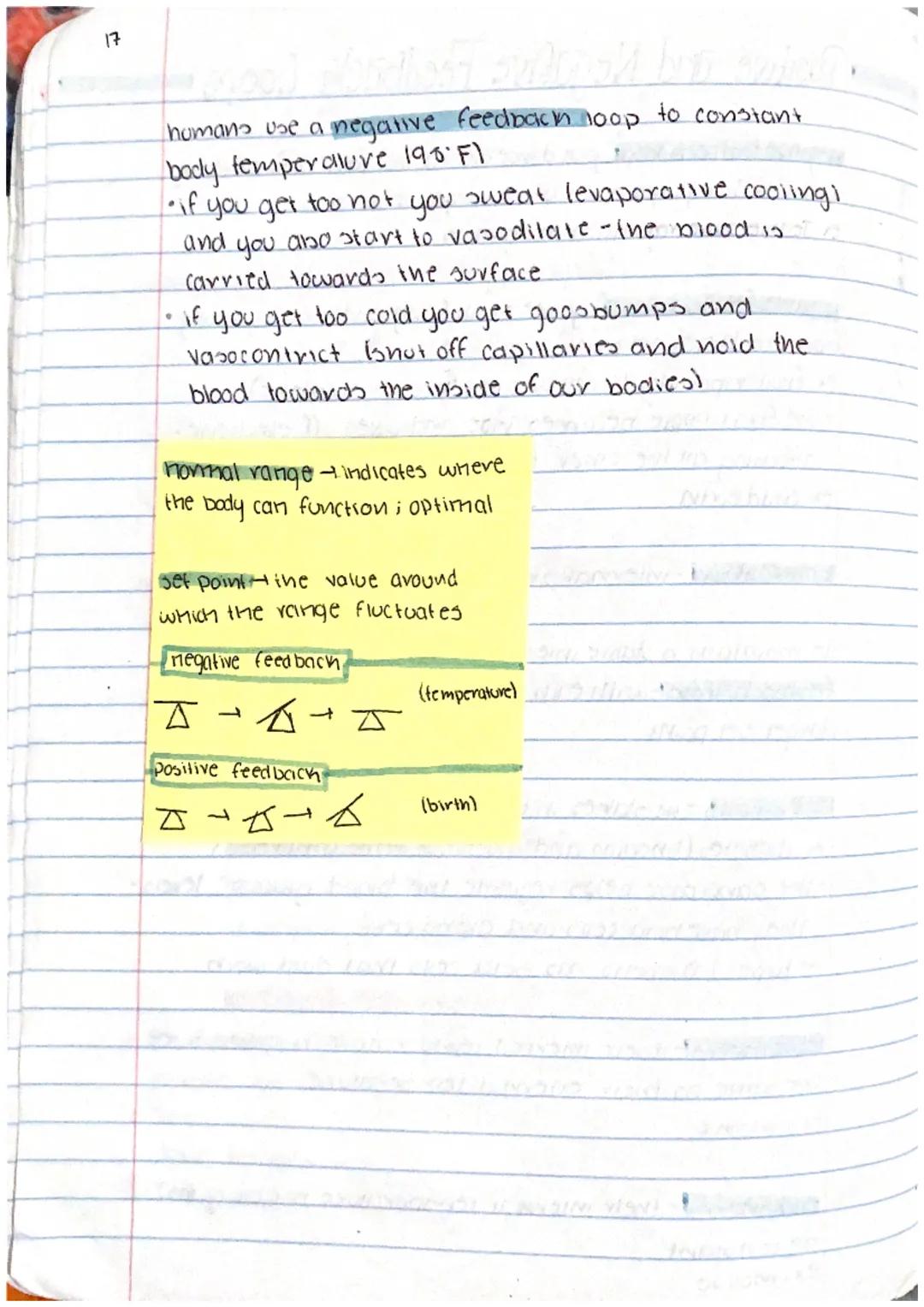 16
# Positive and Negative Feedback Loops
negative feedback loop. youll dance around the point until eventually
you hit it. Brings you doser