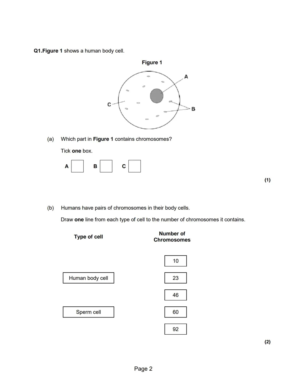 Q1.Figure 1 shows a human body cell.
(b)
(a) Which part in Figure 1 contains chromosomes?
Tick one box.
A
B
C
Type of cell
Human body cell
S