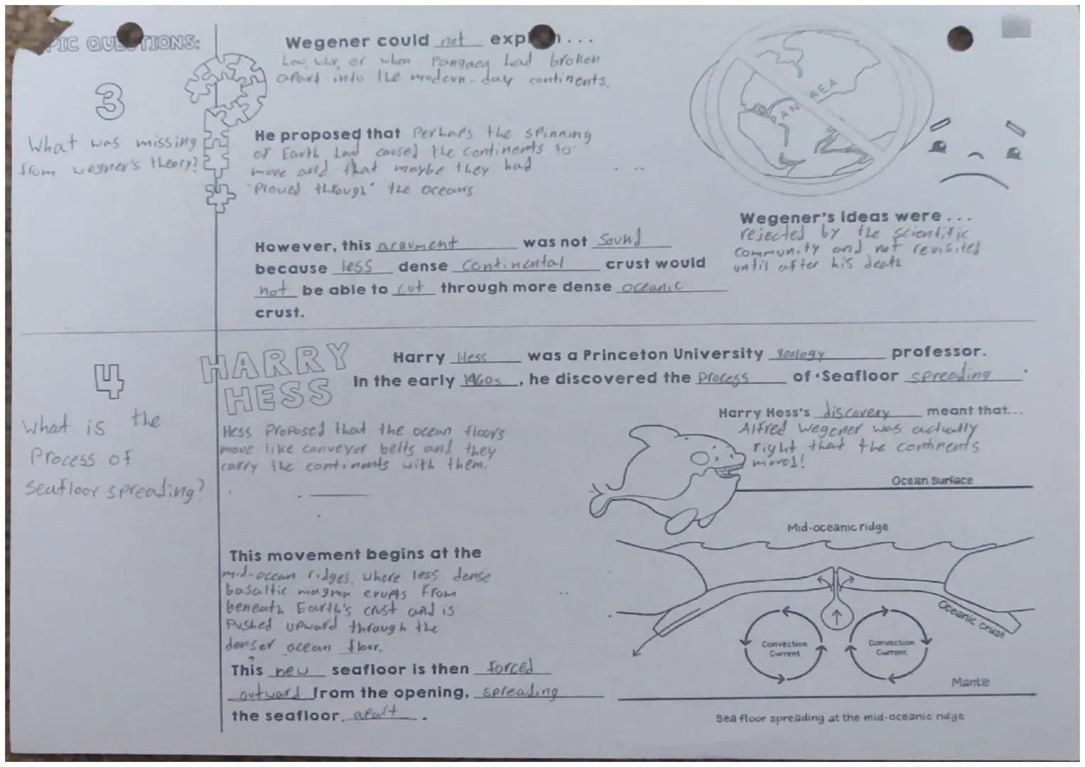 Name:
CONTINENTAL DRIFT
& SEAFLOOR SPREADING
ESSENTIAL
QUESTION:
What evidence helped to form theories about
how Earth's surface has changed