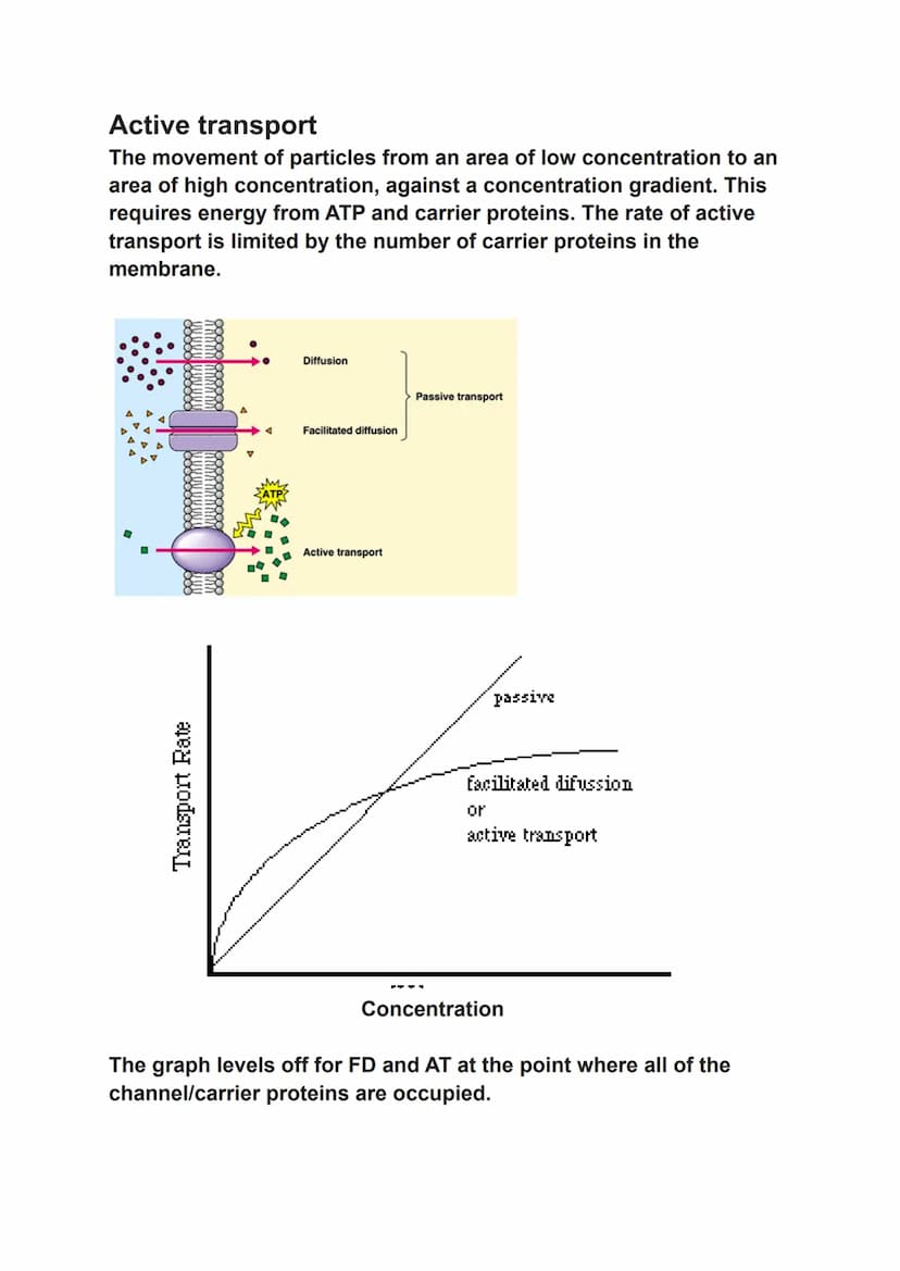 osmosis, active transport and diffusion
Simple Diffusion
The net movement of particles from an area of high concentration
to an area of low 