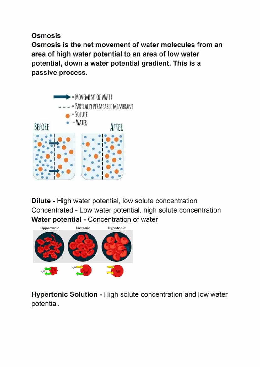 osmosis, active transport and diffusion
Simple Diffusion
The net movement of particles from an area of high concentration
to an area of low 
