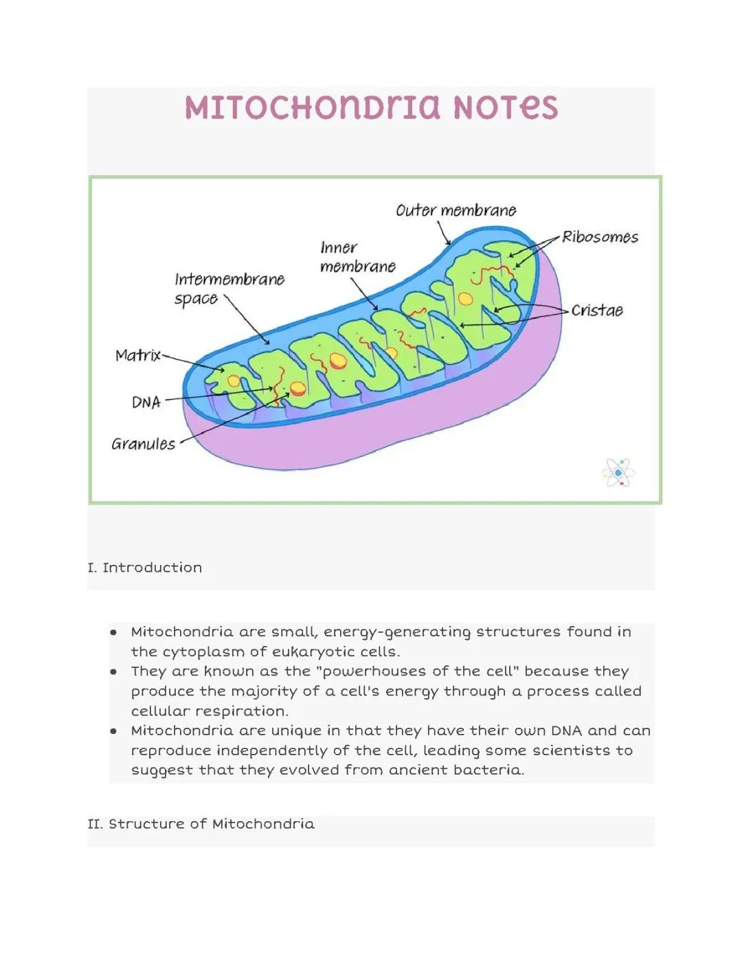 mitochondria 
