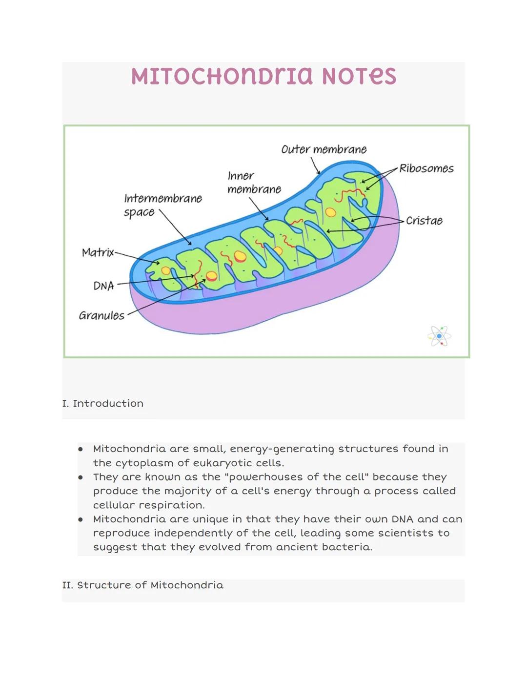 Matrix.
DNA
MITOCHONDRIA NOTES
Intermembrane
Granules
●
space
I. Introduction.
Outer membrane
Inner
membrane
II. Structure of Mitochondria
R